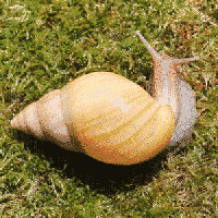 10004 фото