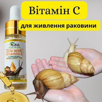 Натуральное масло для восстановления ракушки ахатины с витамином С M13676 фото